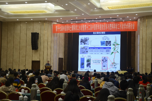 ���ֶ���������