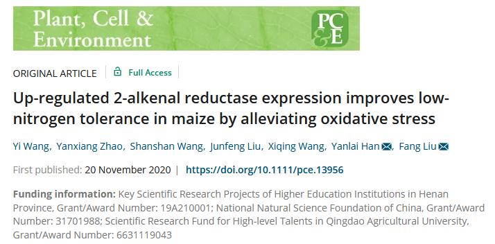 ���ֶ���������