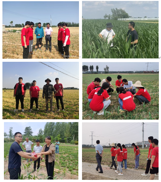 ���ֶ���������