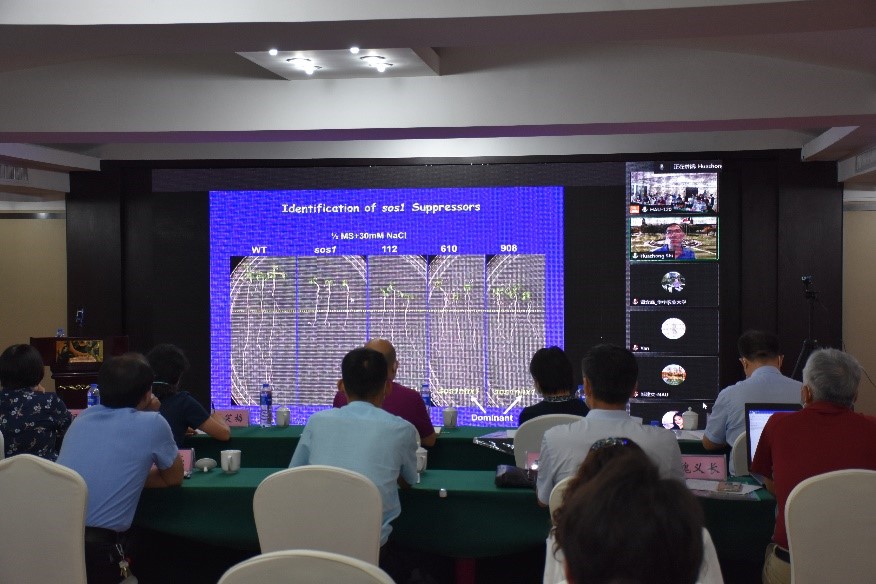 ���ֶ���������