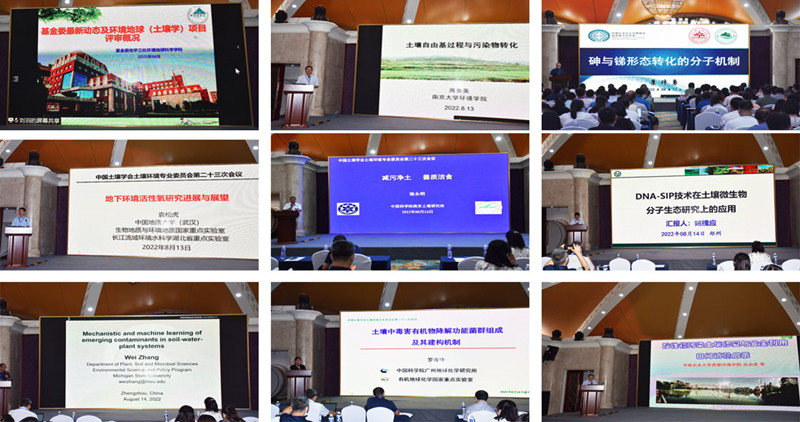 ���ֶ���������