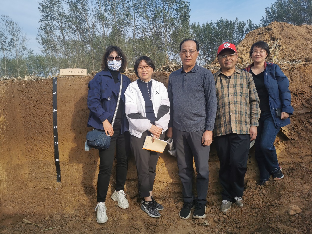 ���ֶ���������