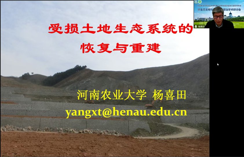 ���ֶ���������