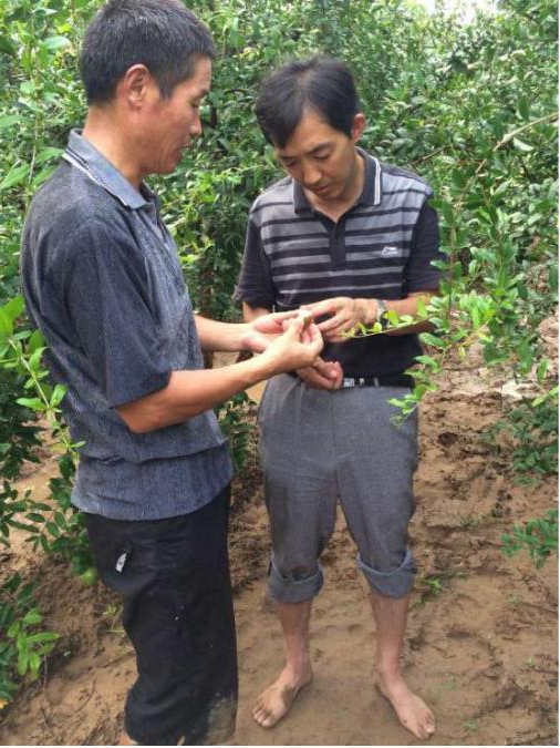 欢乐斗地主下载