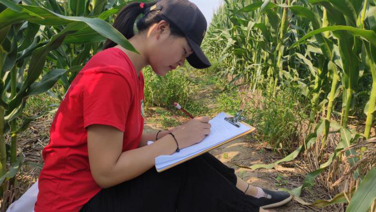 欢乐斗地主下载