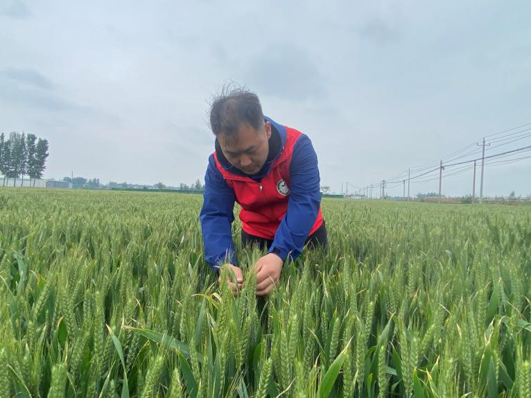 欢乐斗地主下载