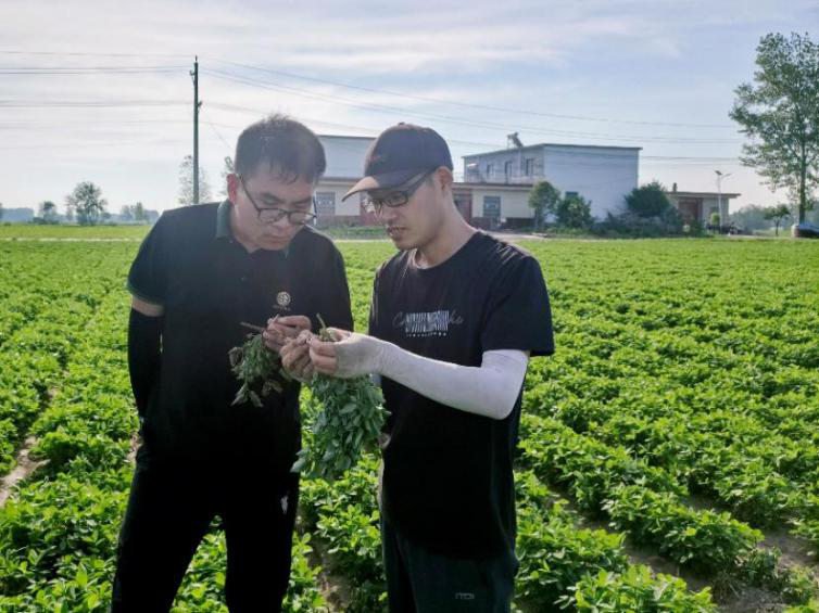 ���ֶ���������