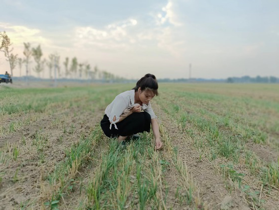 ���ֶ���������