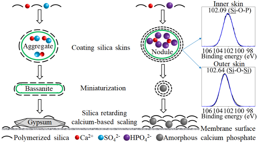 ���ֶ���������