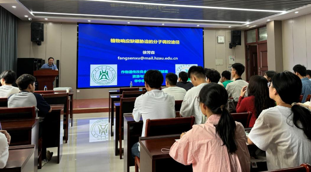 ���ֶ���������