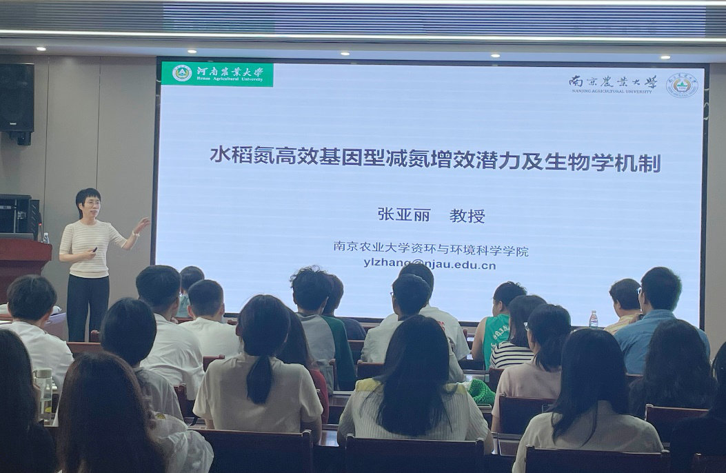 ���ֶ���������