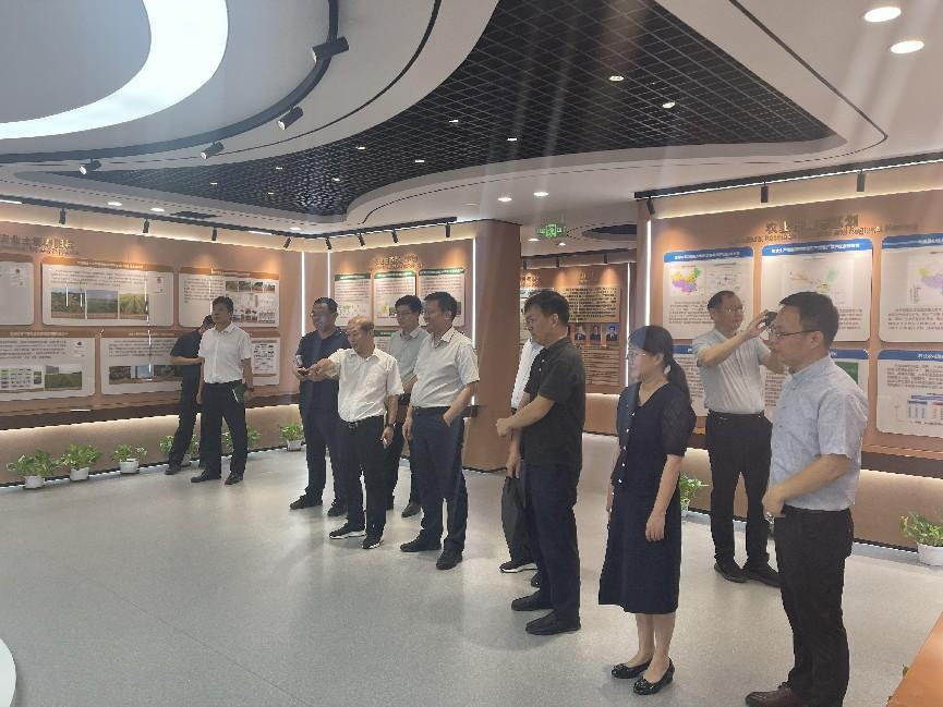 ���ֶ���������