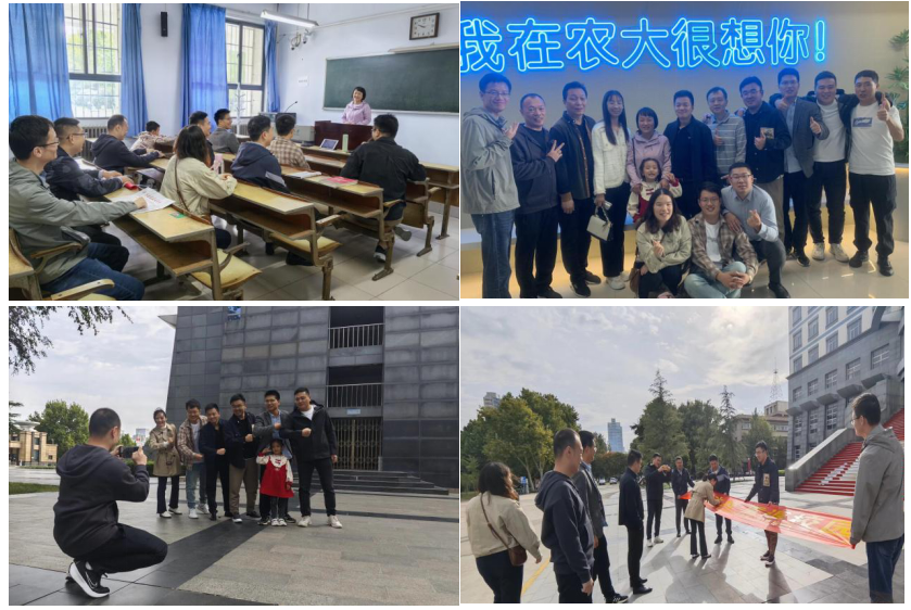 ���ֶ���������