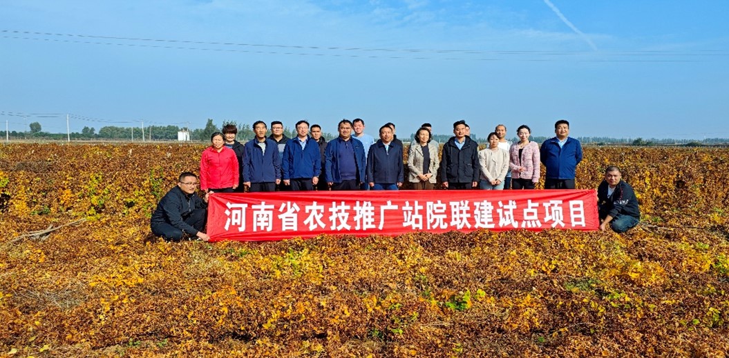 ���ֶ���������