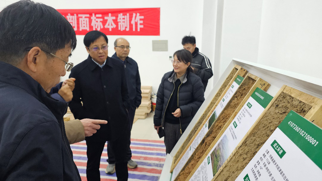 ���ֶ���������