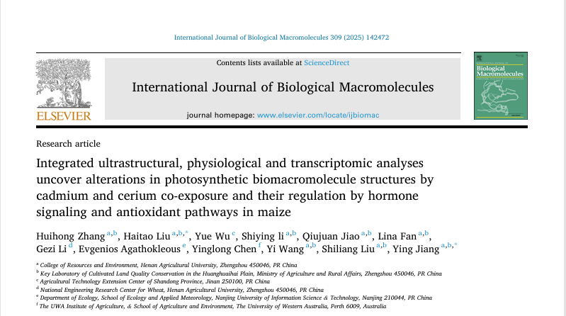 ���ֶ���������