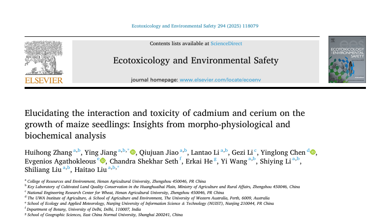 ���ֶ���������