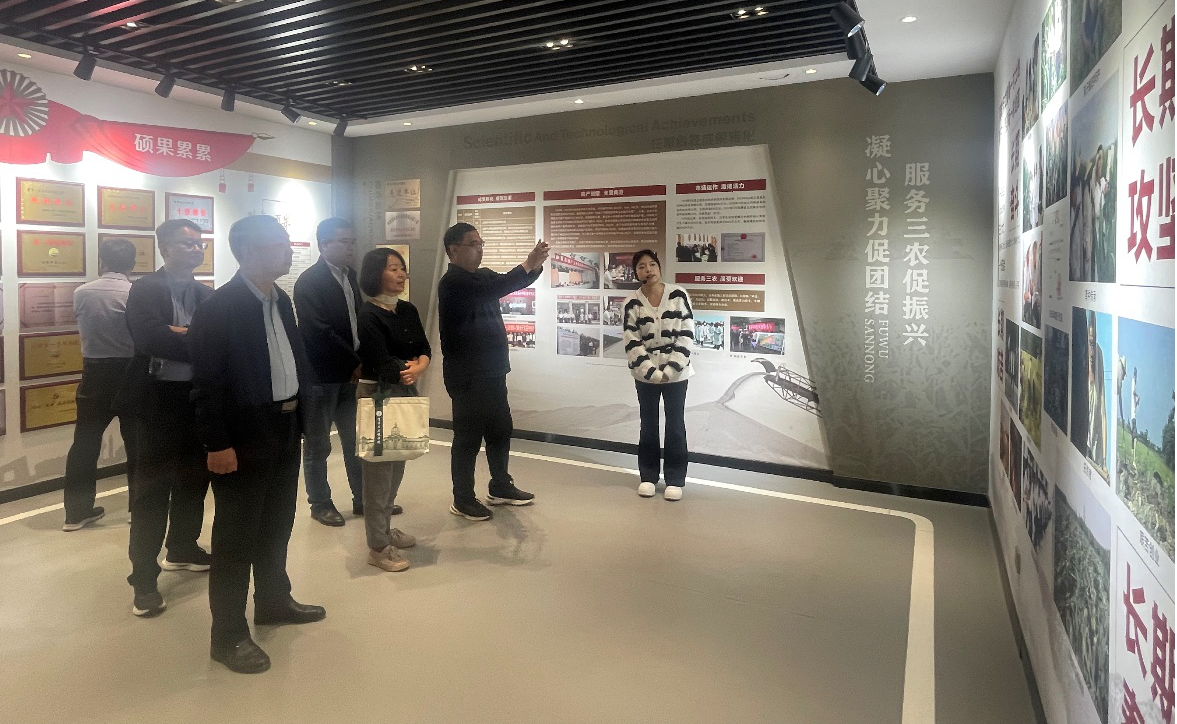 ���ֶ���������