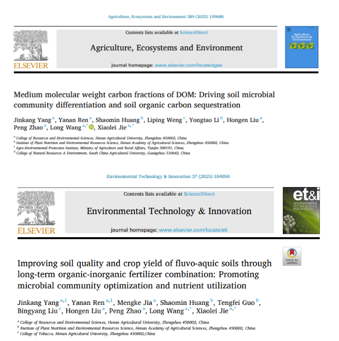 ���ֶ���������