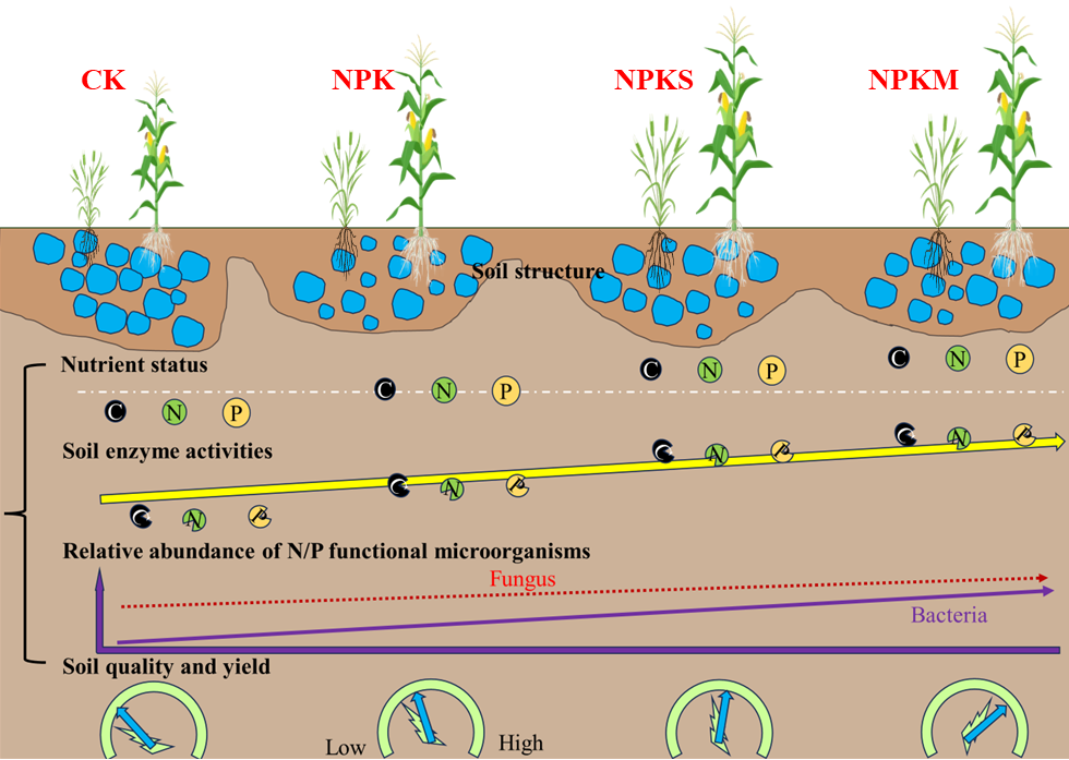 ���ֶ���������