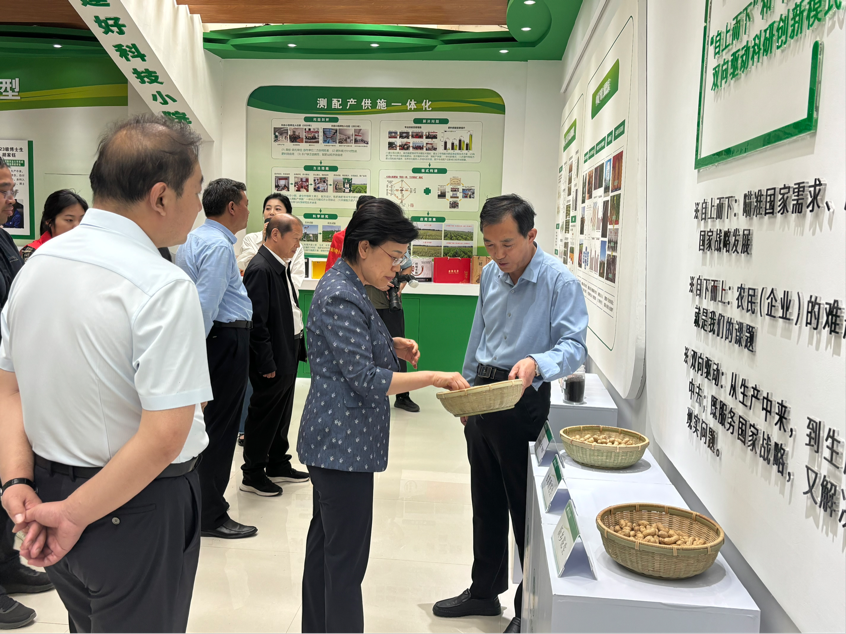 ���ֶ���������