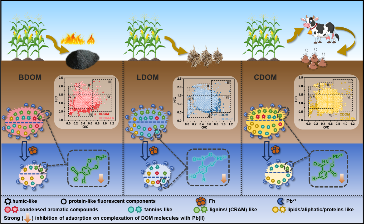 ���ֶ���������