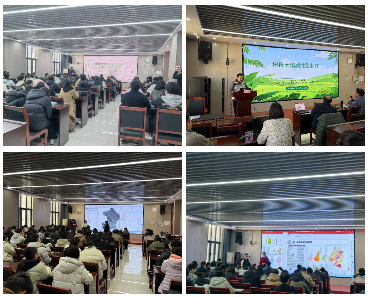 ���ֶ���������