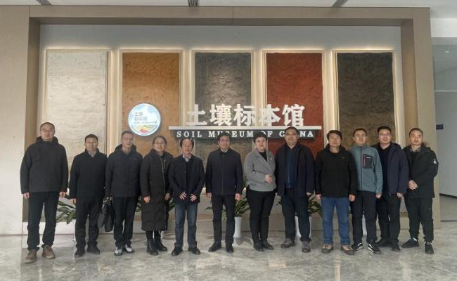 ���ֶ���������