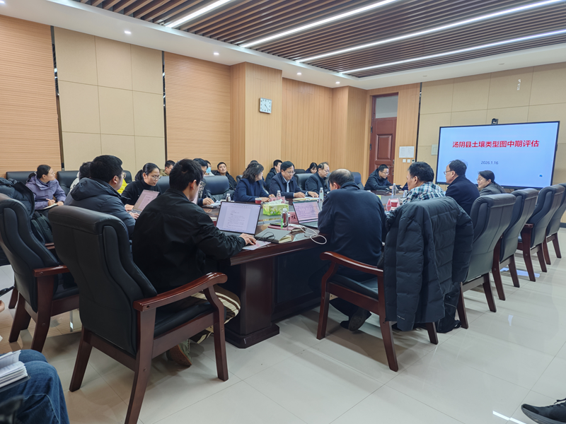 ���ֶ���������