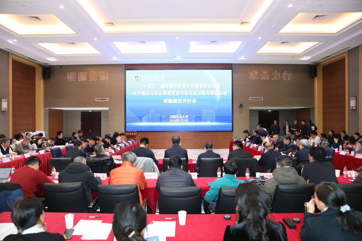 ���ֶ���������