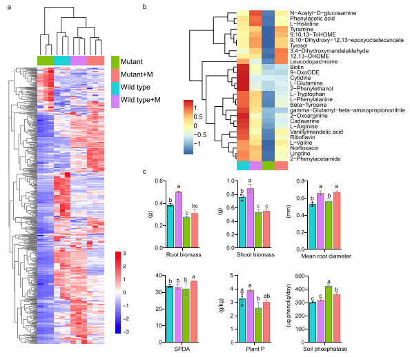 ���ֶ���������