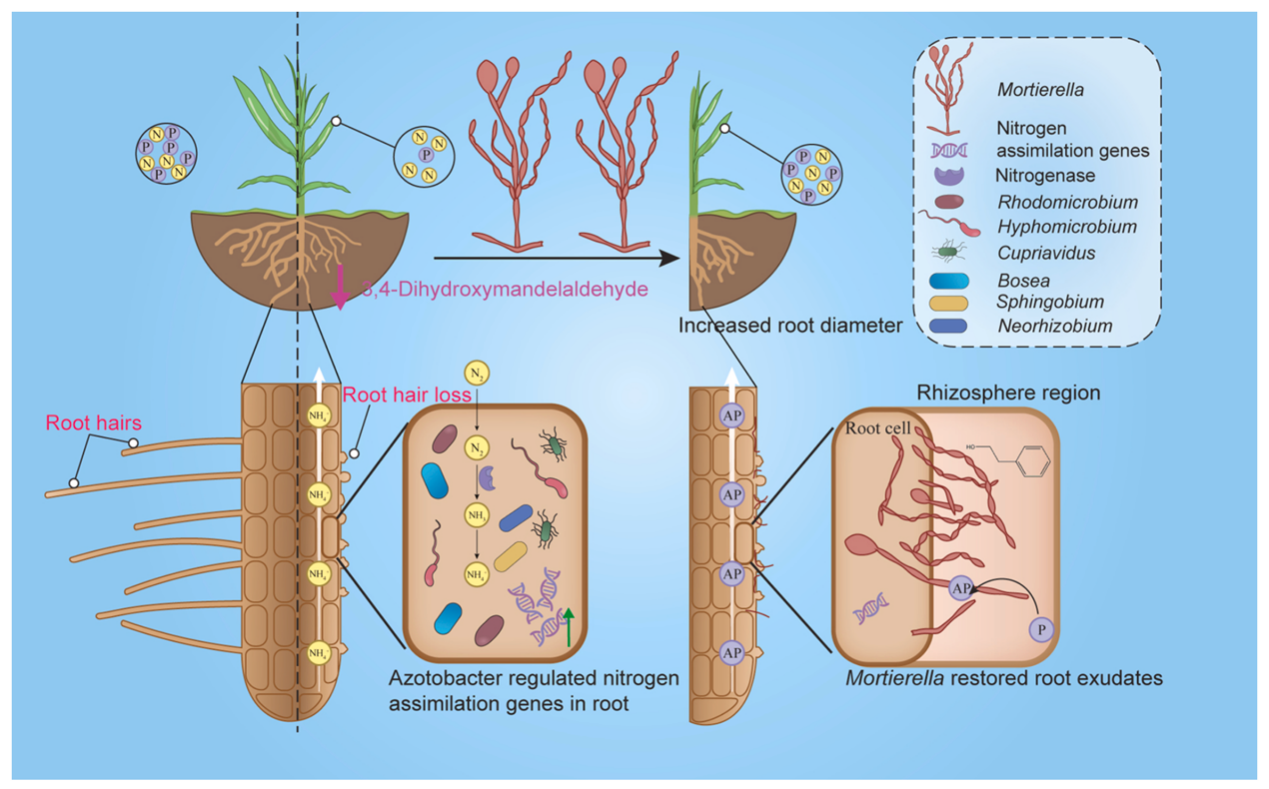���ֶ���������