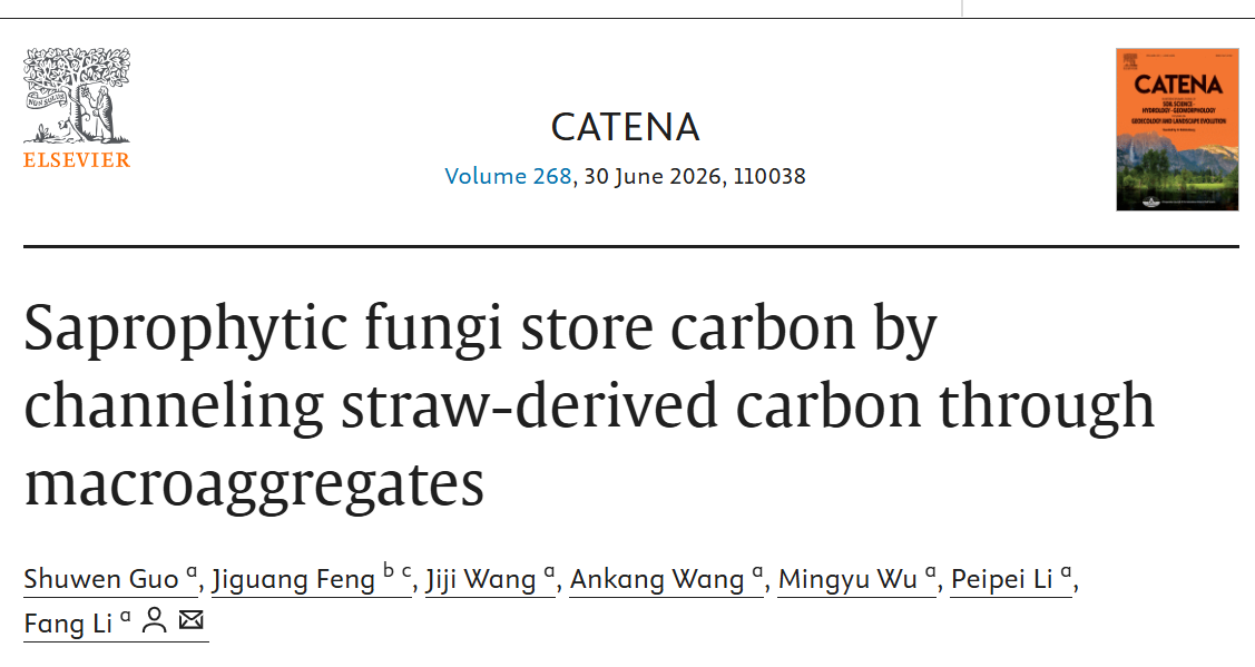 欢乐斗地主下载