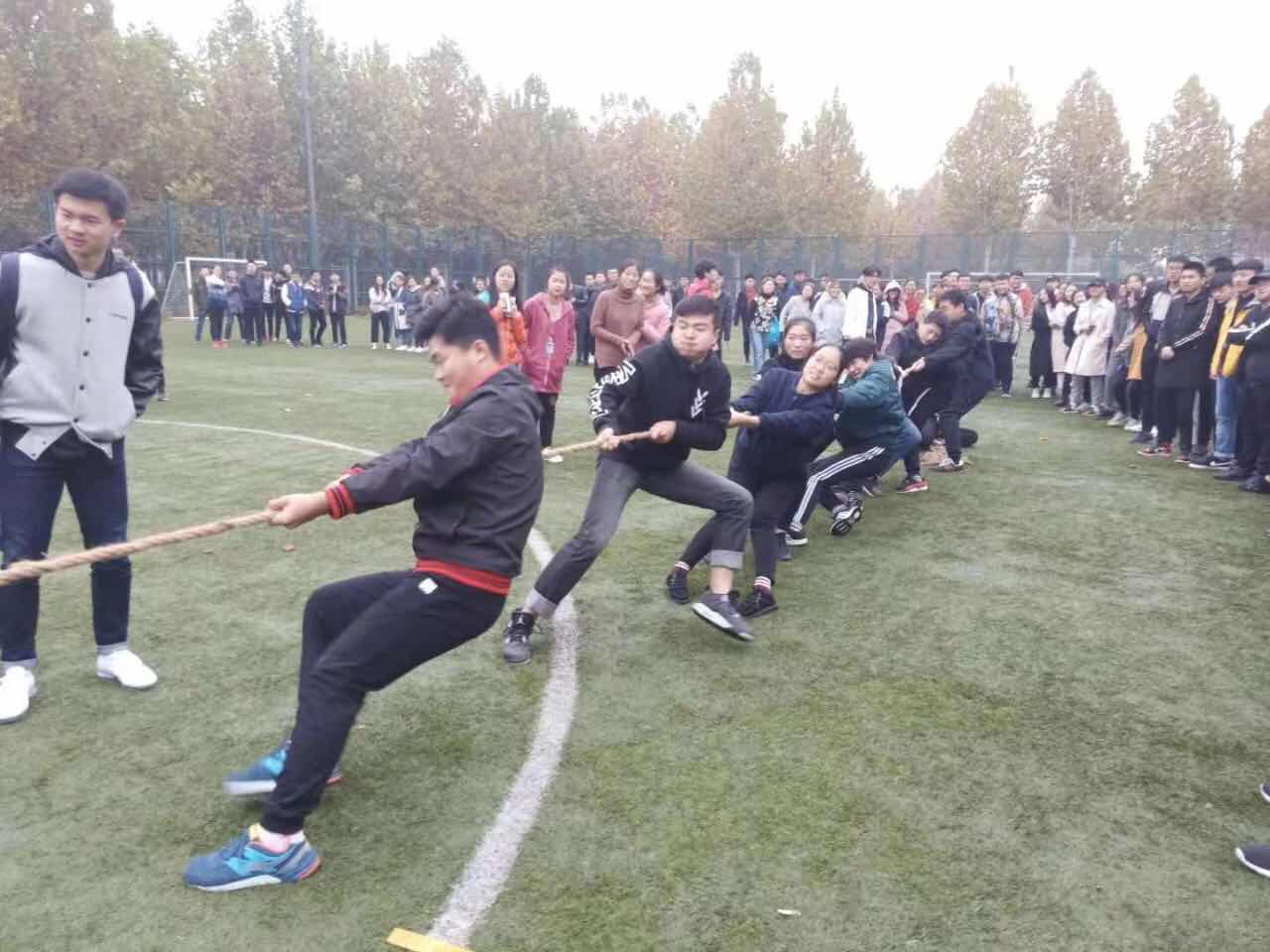 ���ֶ���������