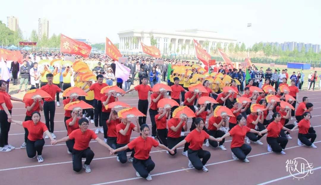 ���ֶ���������