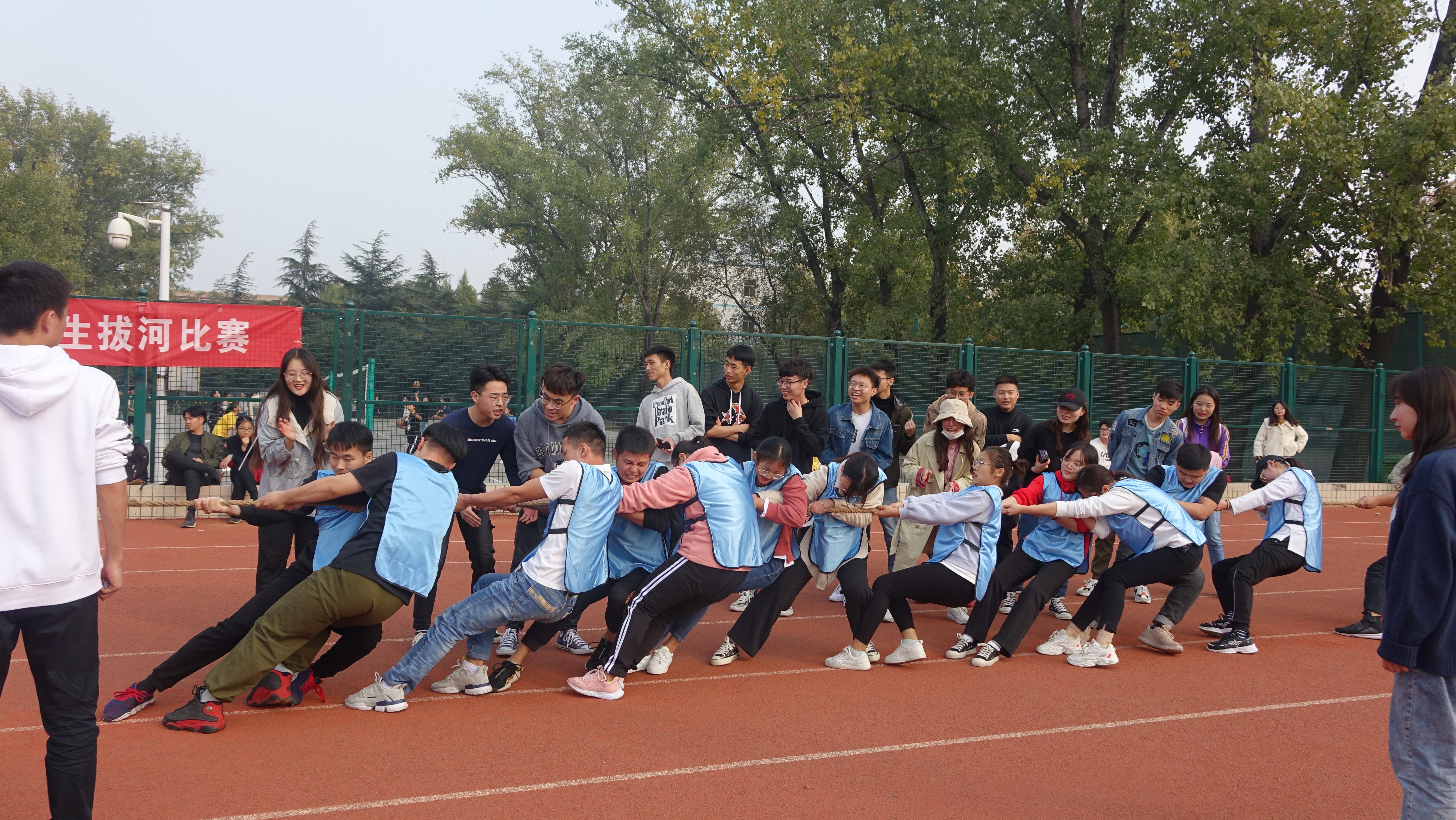 ���ֶ���������