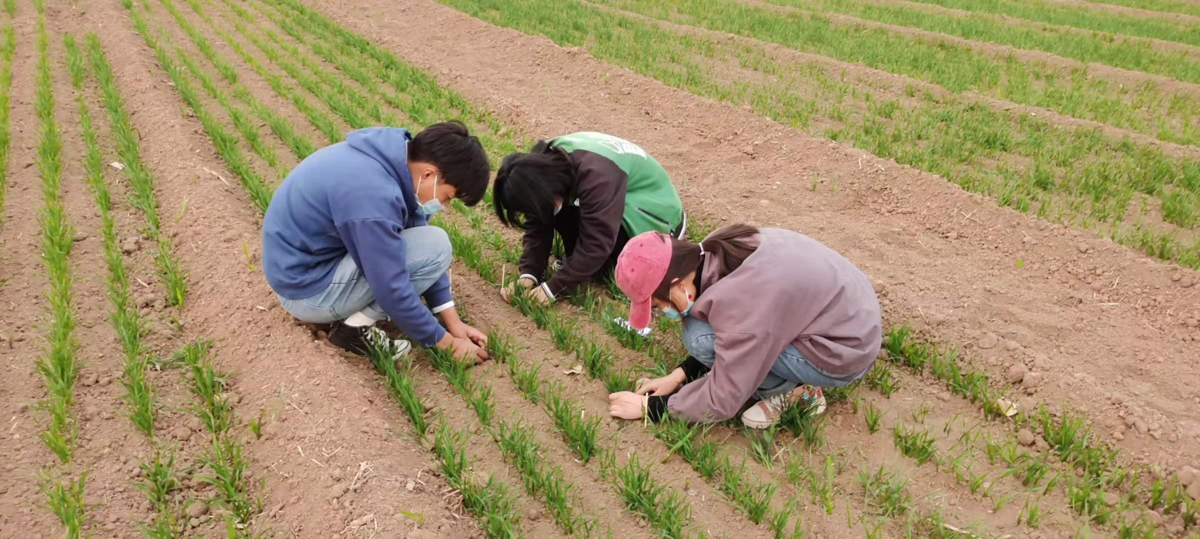 欢乐斗地主下载