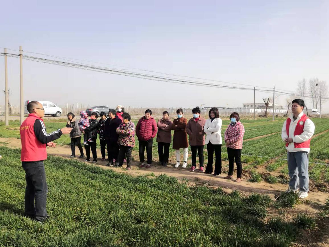 ���ֶ���������