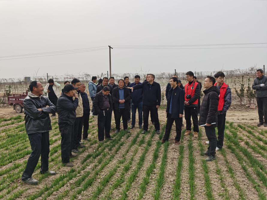 ���ֶ���������