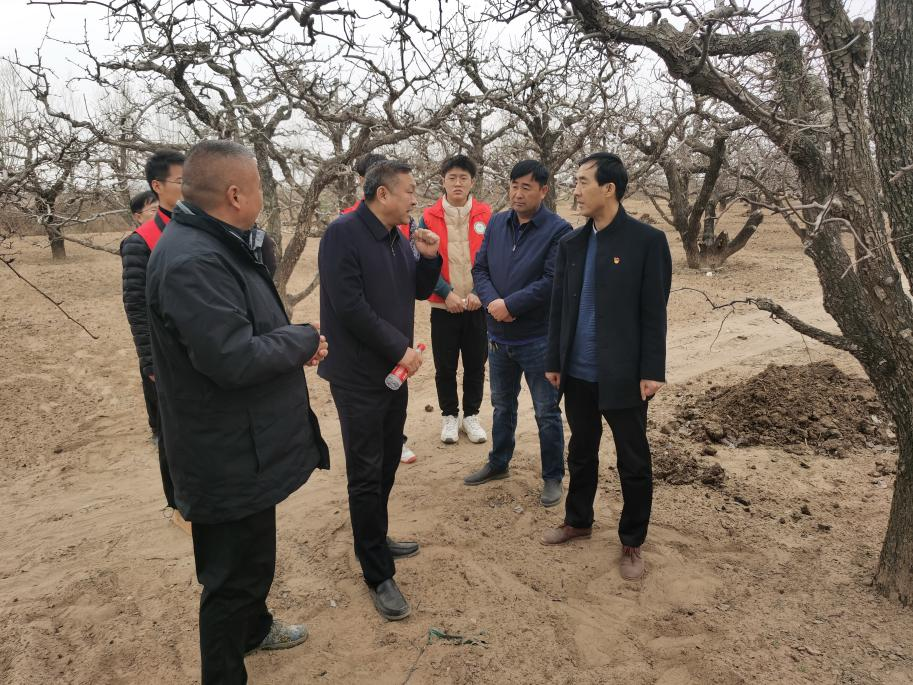 ���ֶ���������