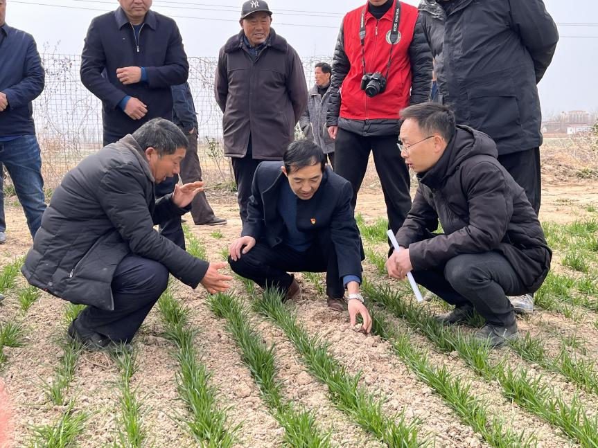 ���ֶ���������