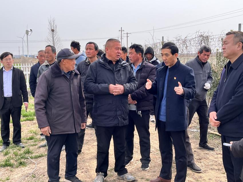 ���ֶ���������