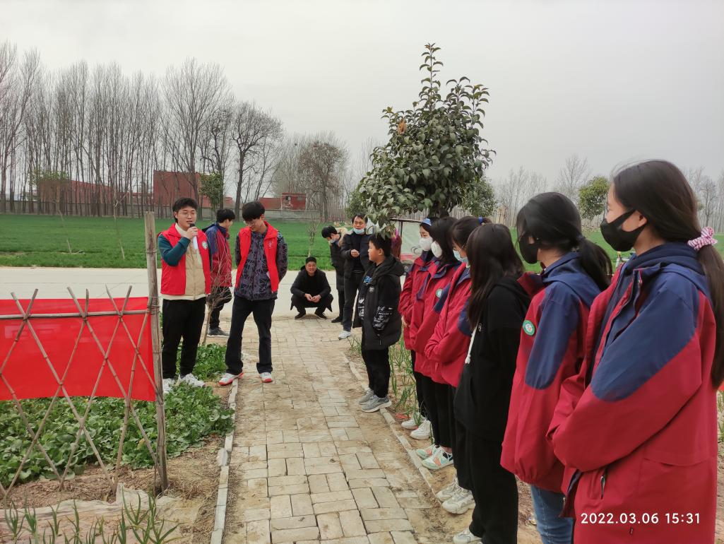 ���ֶ���������