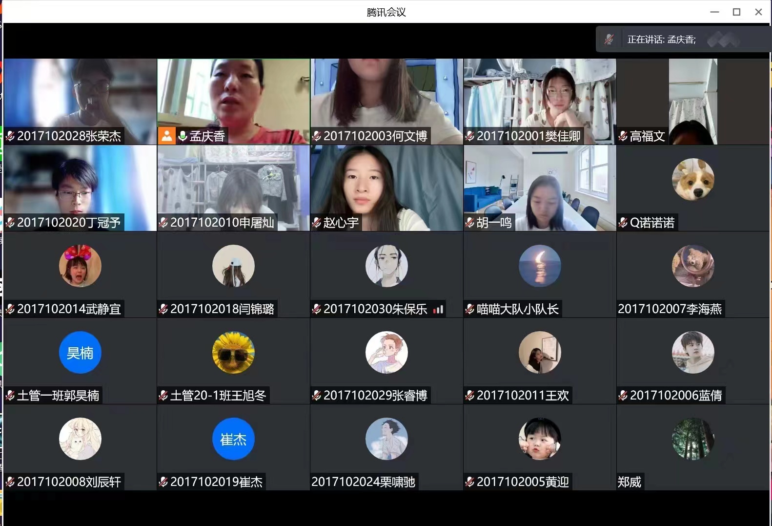 ���ֶ���������