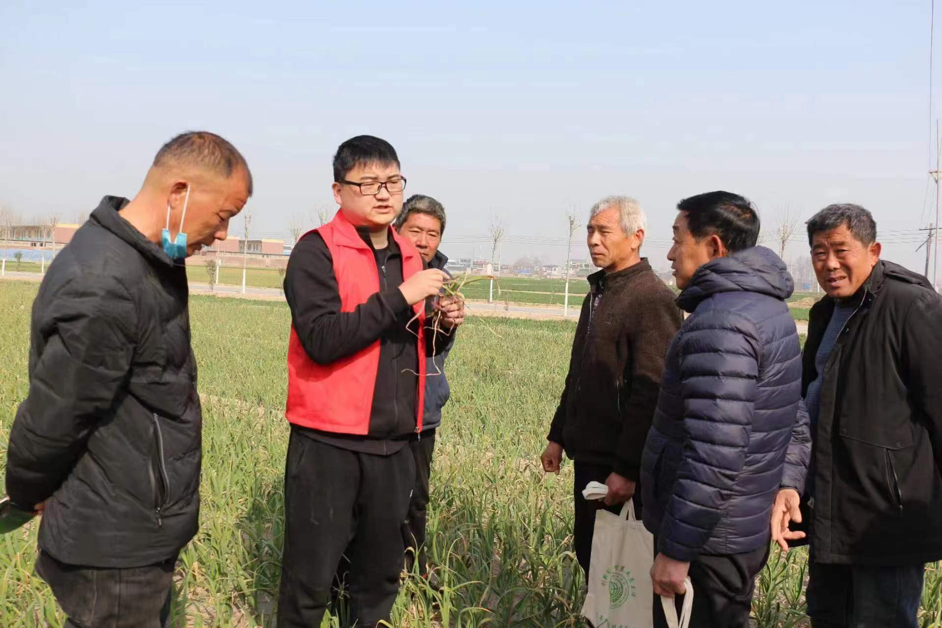 ���ֶ���������