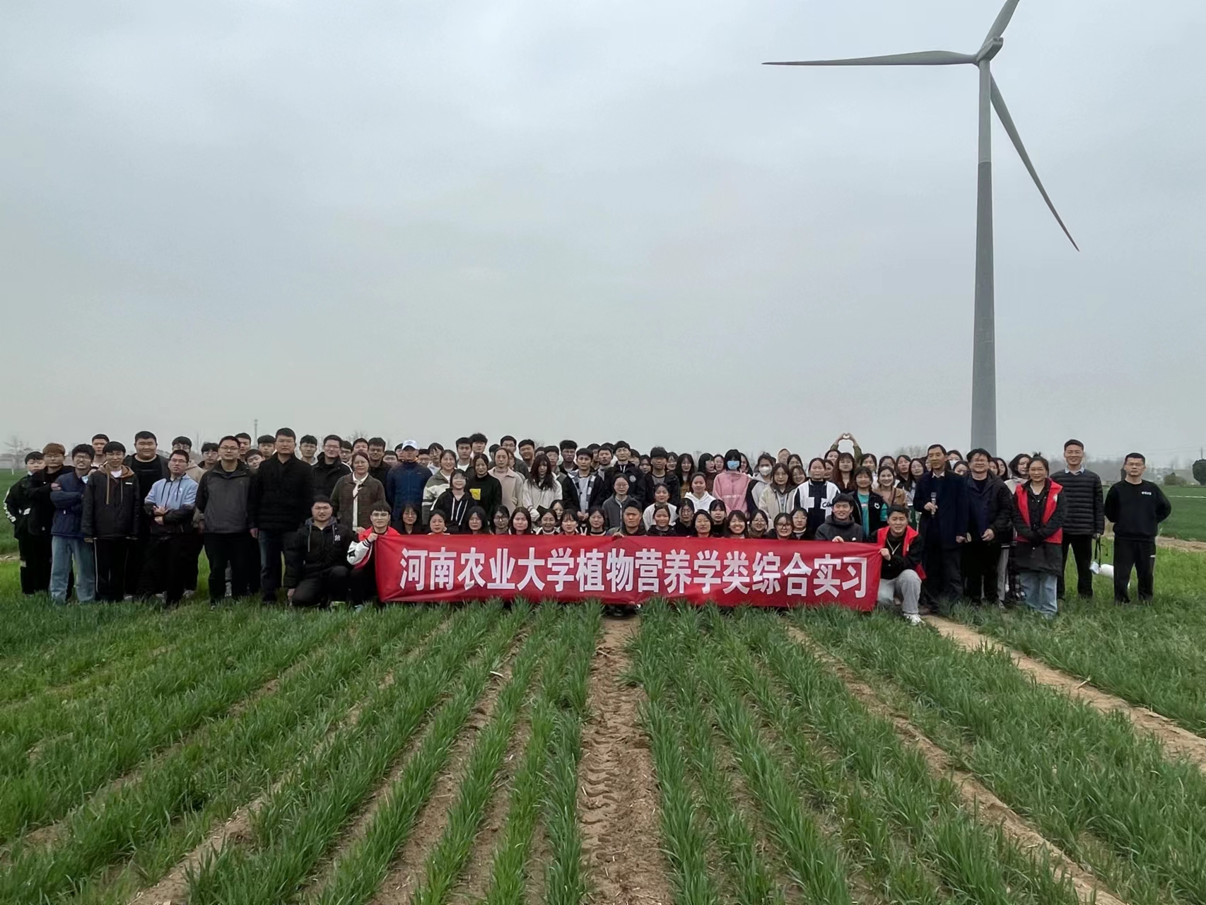 ���ֶ���������