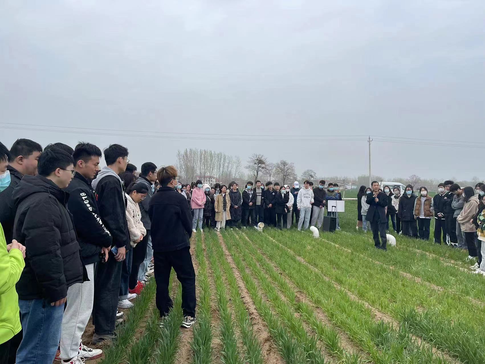 ���ֶ���������