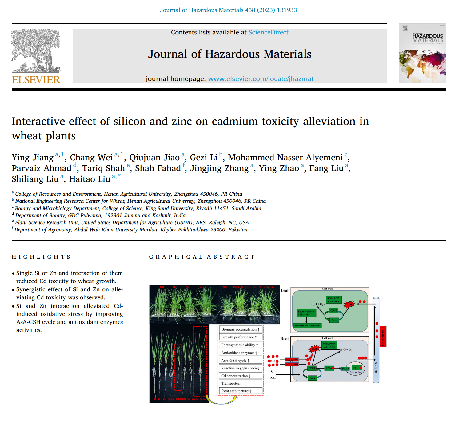 ���ֶ���������