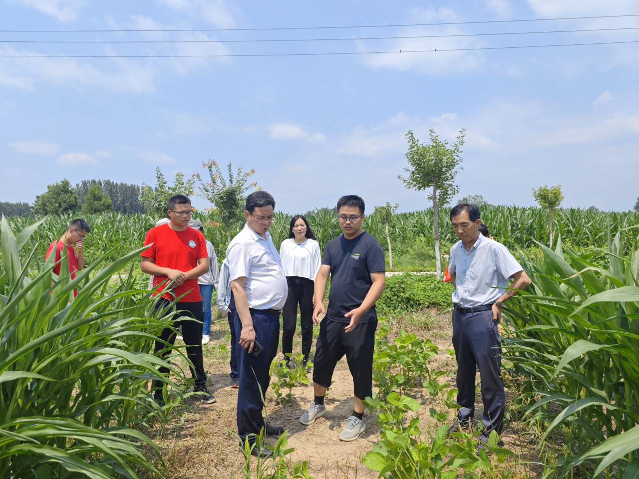 ���ֶ���������