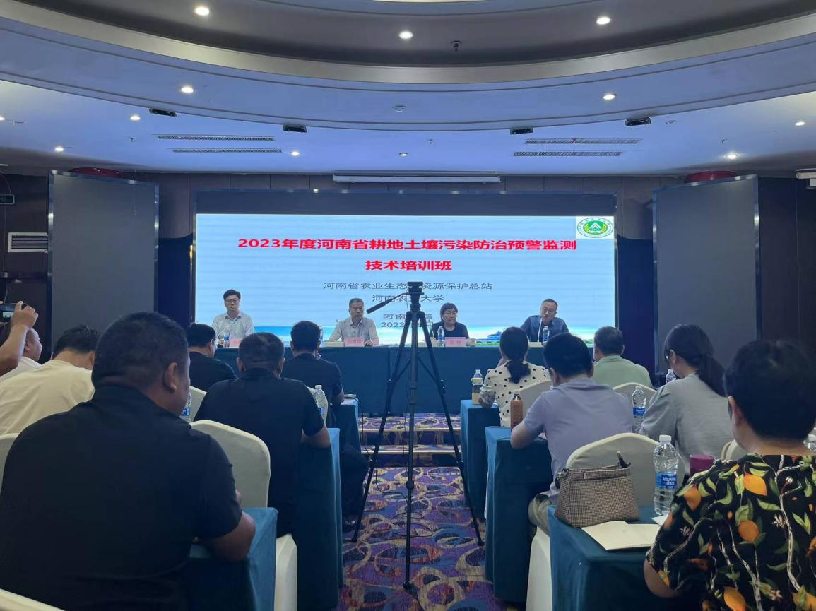 ���ֶ���������